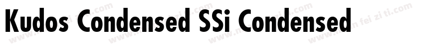 Kudos Condensed SSi Condensed Ital字体转换